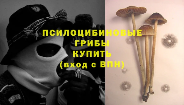 прущая мука Баксан