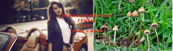 хмурый Балахна