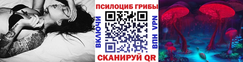 Псилоцибиновые грибы мицелий сколько стоит Карасук