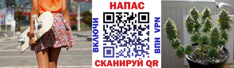 Бошки Шишки Bruce Banner Карасук